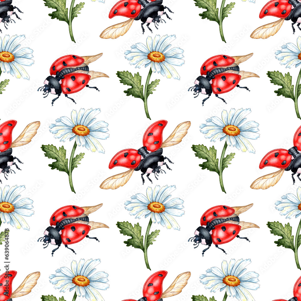 Pattern of white daisies and red ladybugs isolated on white background. Botanical illustration. Great pattern for kitchen, home decor, stationery, wedding invitations and clothing printing.