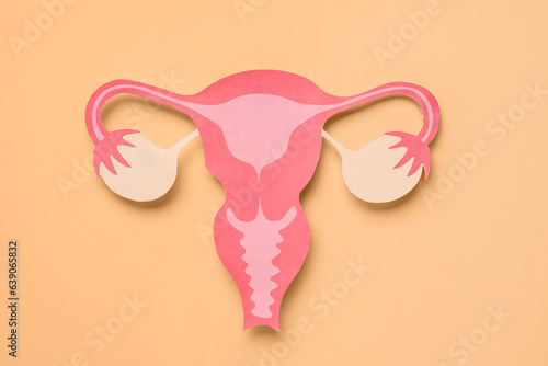 Paper uterus on beige backg...