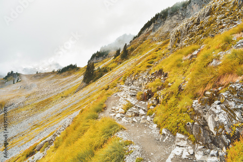 autumn in the mountains