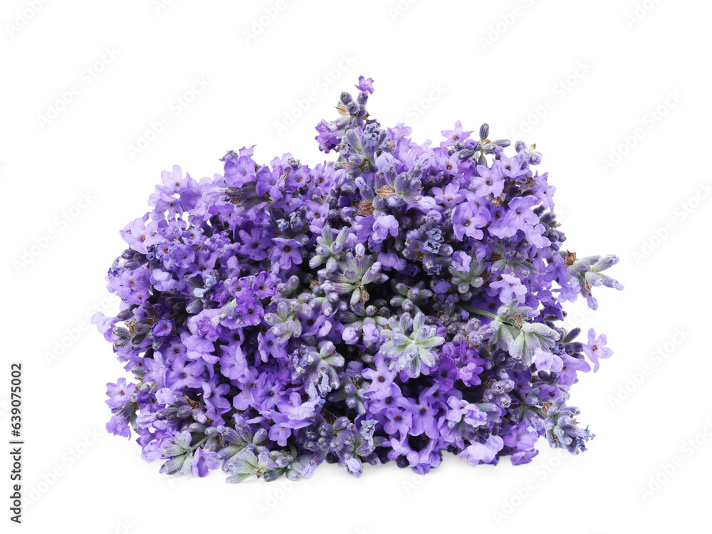 Bouquet of beautiful lavender flowers isolated on white