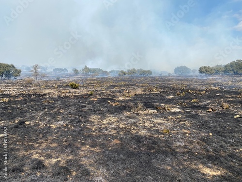 Prescribed Burn in Texas Field Pasture on Ranch