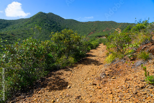 Walking track to Mount pic Nga