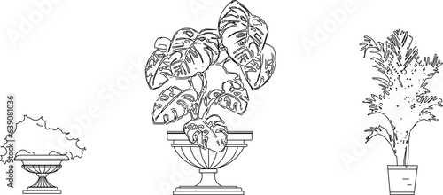 Vector sketch illustration of beautiful ornamental plants in pots for home decoration