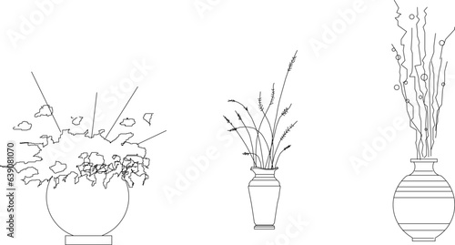 Vector sketch illustration of beautiful ornamental plants in pots for home interior design decoration