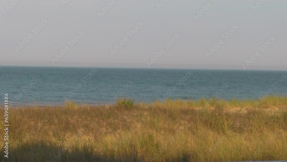 Beach Grass and Waves Beach Grass and Waves