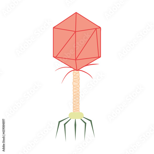 Bacteriophages Cause Of Salmonellosis Disease. Virus and Bacteria Illustration Isolated In White Background.  Virus Bacteria Germs Designs.