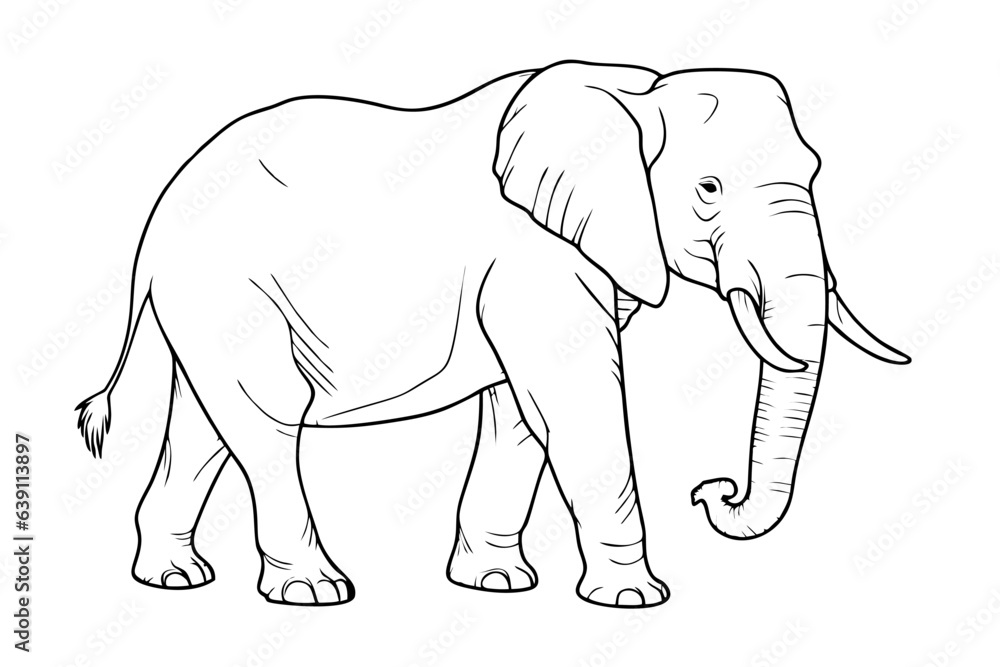 Fototapeta premium Elephant pencil drawing coloring book. Vector illustration