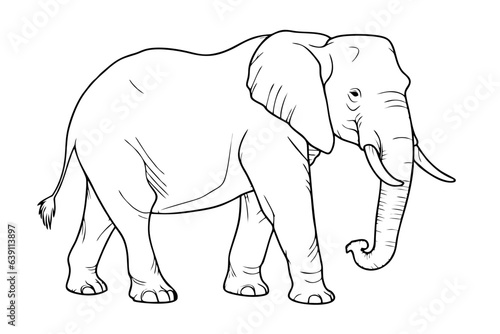 Elephant pencil drawing coloring book. Vector illustration