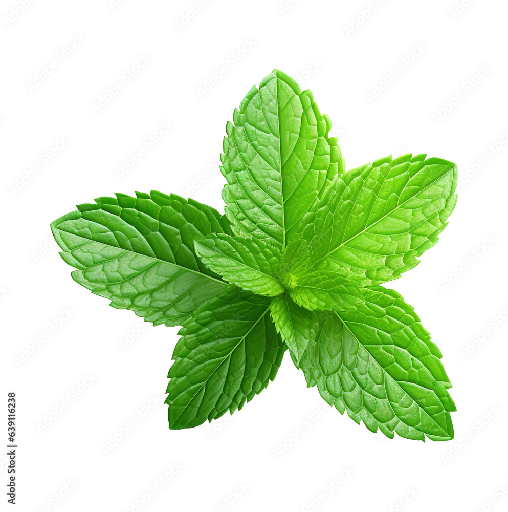 Mint on transparent background Remove png, Clipping Path Mint on transparent background Remove png, Clipping Path