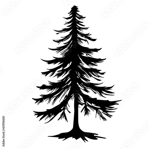 Hand drawn spruce silhouette isolated on white background. Fir tree silhouette. Pine tree silhouette. Vector illustration.