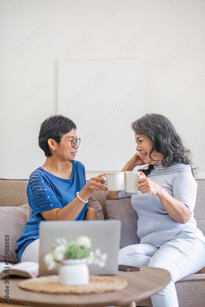 Two Asian women are sitting drinking coffee and chatting in the living room.