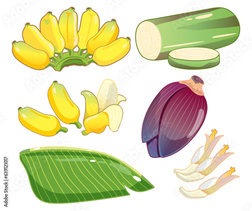 Banana Set