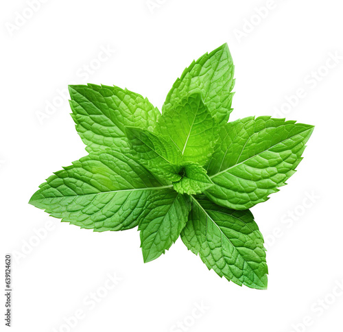 fresh mint on transparent background Remove png, Clipping Path