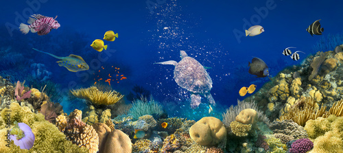 Fototapeta Naklejka Na Ścianę i Meble -  Beautifiul underwater colorful coral reef at Caribbean Sea at Honeymoon Beach on St. Thomas,Roatan in Honduras