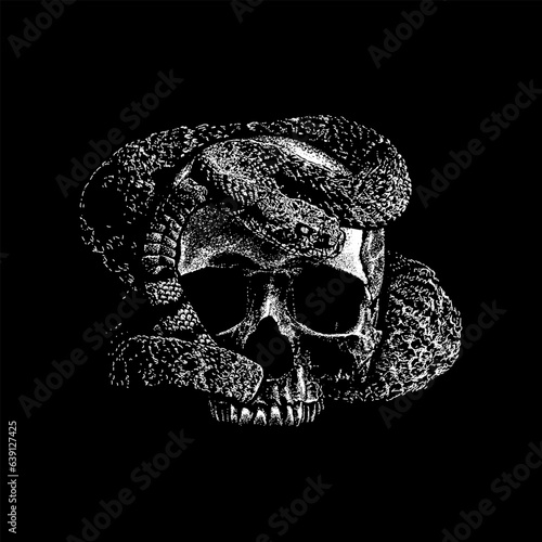 skull and rattlesnake hand drawing vector isolated on black background.