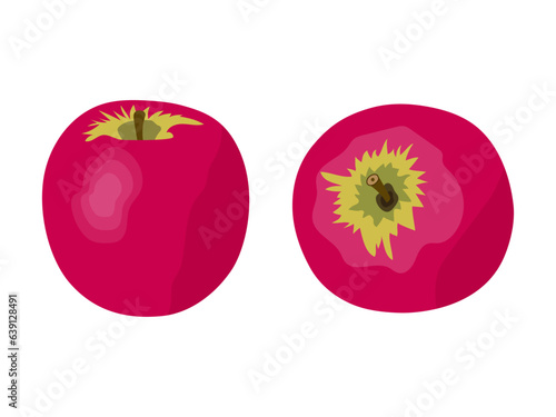 A set of red apples with a yellow center on a transparent and white background. Isolated doodle fruit closeup elements for thanksgiving and harvest festival design. Vector flat illustration in cartoon