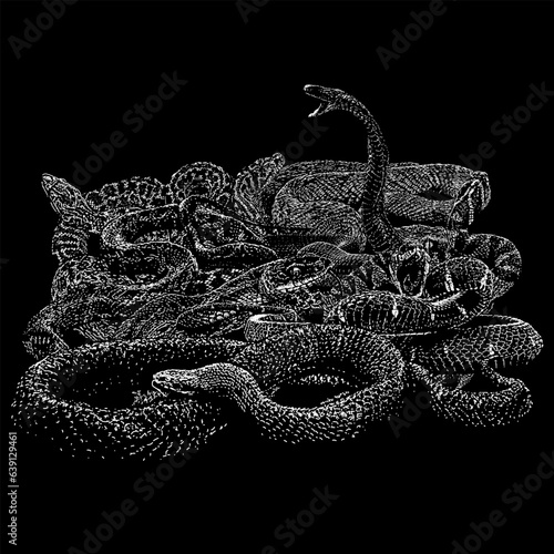 snakes hand drawing vector isolated on black background.