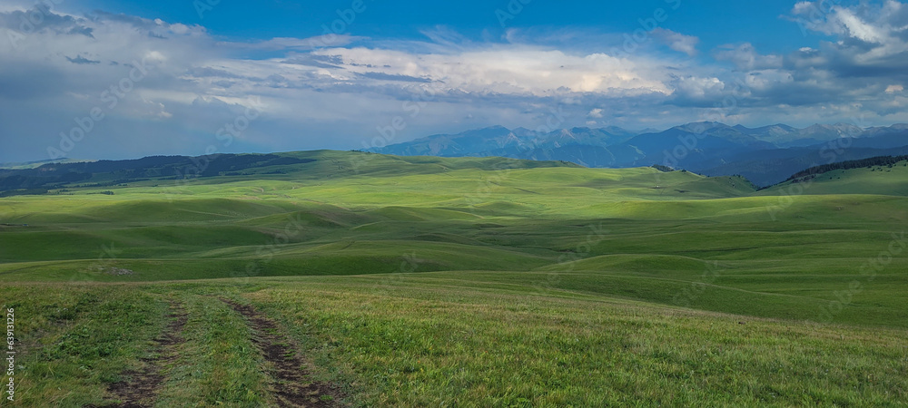 Obraz premium landscape with grass