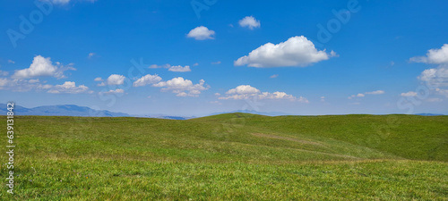 field of grass and sky