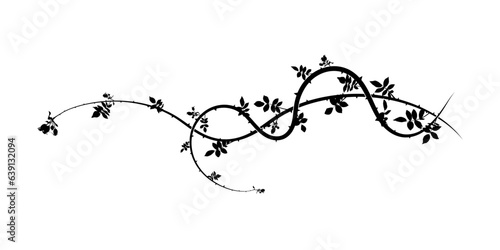 element on white background wild rose with thorns