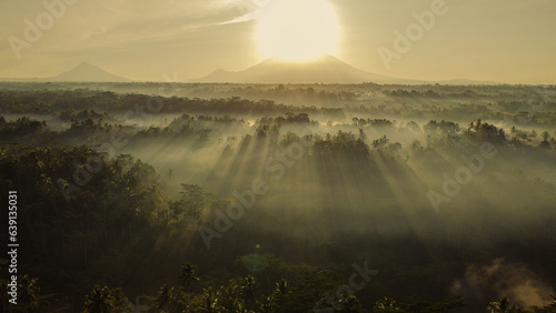 Aerial View Of The Morning Bali Forest In The Fog