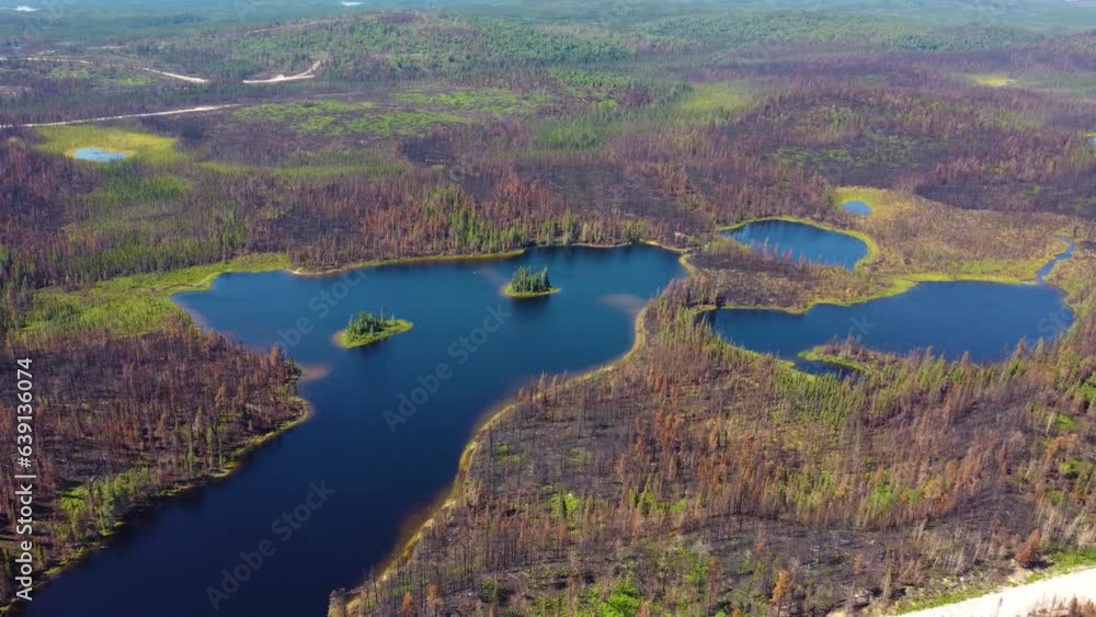 Beautiful aerial shot of a landscape of forests and lakes. Beautiful aerial shot of a landscape of forests and lakes.