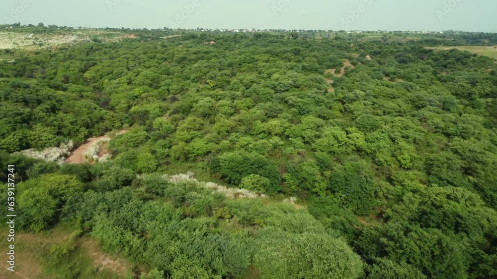 landscape with grass and trees landscape with grass and trees