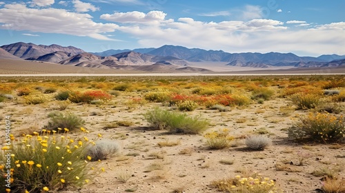 Barren desert landscape evolving into blooming wildflower field. | generative AI