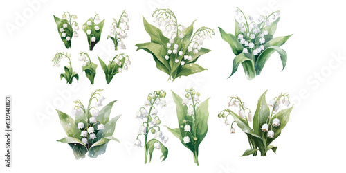 Watercolor lily of valley clipart for graphic resources