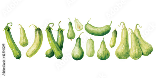 Watercolor bitter gourd clipart for graphic resources
