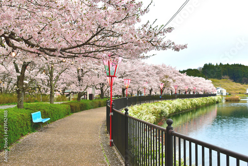 Tableau sur toile 上野公園の桜