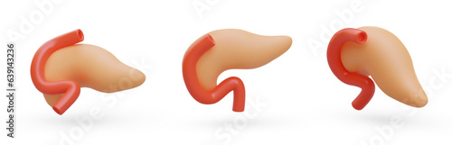 Realistic pancreas. Secretion of pancreatic juice, insulin. Set of vector objects in different positions. Human internal organ. Color vector illustration with shadows