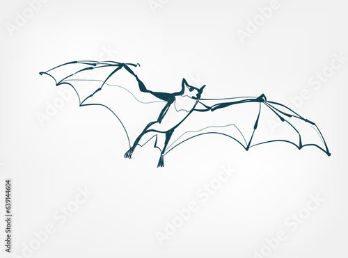 bat vector line art animal wild life single one line hand drawn illustration isolated
