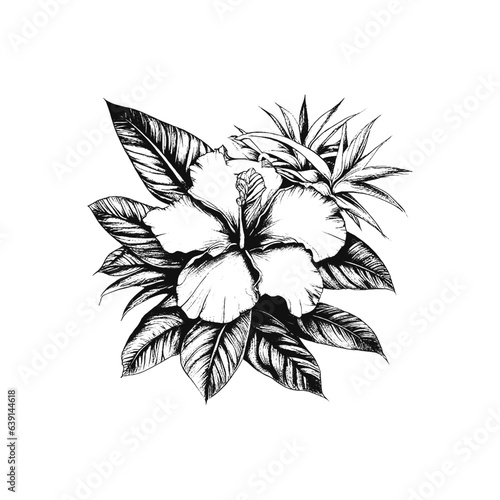 Tropical Lush Hibiscus Flower with Foliage Engraved Vector Sketch Illustration