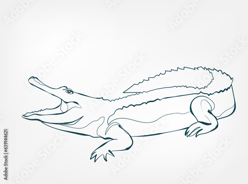 crocodile vector line art animal wild life single one line hand drawn illustration isolated