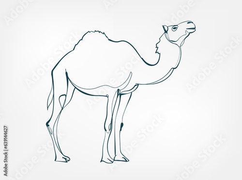 camel vector line art animal wild life single one line hand drawn illustration isolated