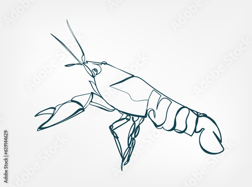 crayfish vector line art animal wild life single one line hand drawn illustration isolated