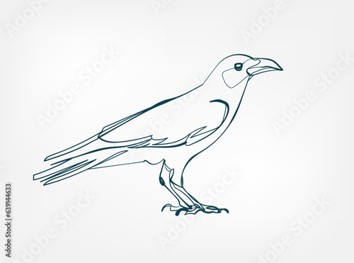 crow vector line art animal wild life single one line hand drawn illustration isolated