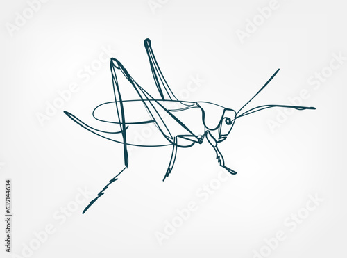 Fotografia, Obraz grasshopper vector line art animal wild life single one line hand drawn illustra