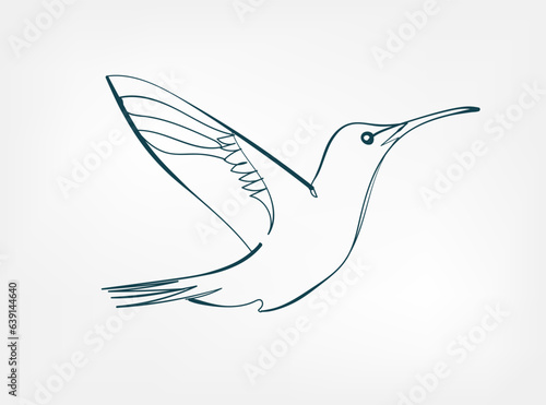 hummingbird vector line art animal wild life single one line hand drawn illustration isolated