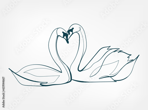 swan vector line art animal wild life single one line hand drawn illustration isolated