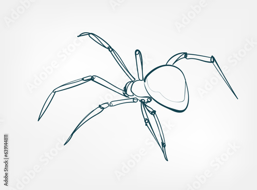 spider vector line art animal wild life single one line hand drawn illustration isolated