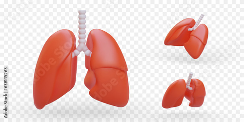 Set of 3D lungs. Human respiratory organs. Breath symbol. Medical concept. Examination service, fluorography. Health care. Vector images, icons. Respiratory diseases, allergies