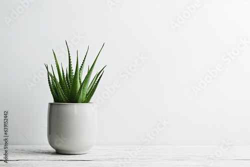 Aloe vera plant in design modern pot and white wall mock up, Generative AI