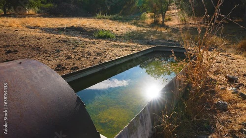 4k ranching watering hole for cattle, sunlight reflecting in water with clouds. photo