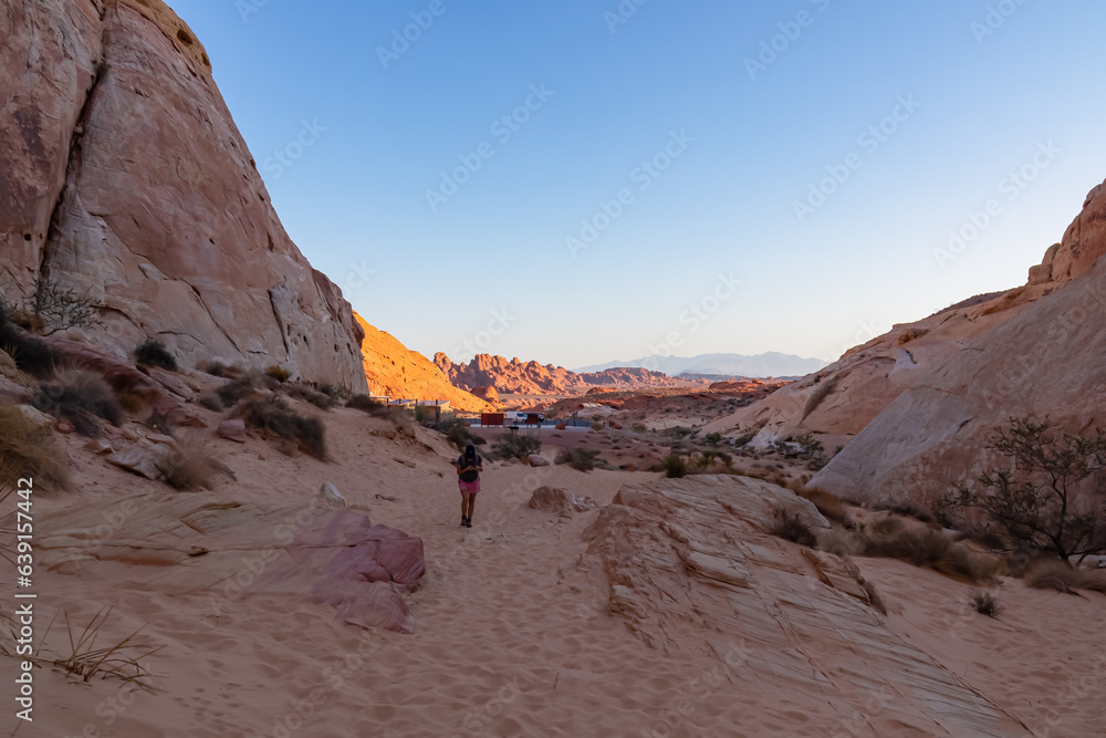Naklejka premium Woman with scenic sunrise view of arid landscape with striated red and white rock formations along the White Domes Hiking Trail in Valley of Fire State Park in Mojave desert, Overton, Nevada, USA
