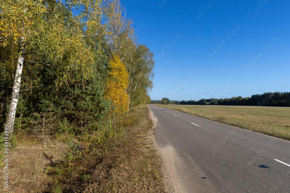 Fototapeta premium Paved road in the autumn season in sunny weather