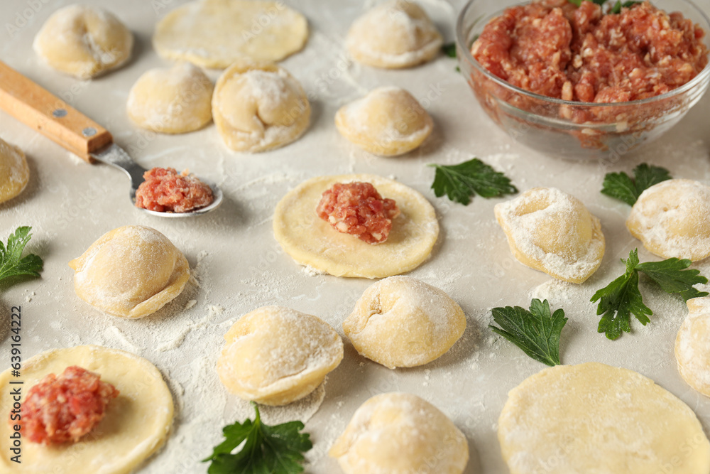Cooking home food concept with raw dumplings Cooking home food concept with raw dumplings