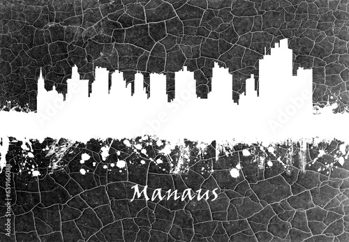 Manaus skyline B&W photo