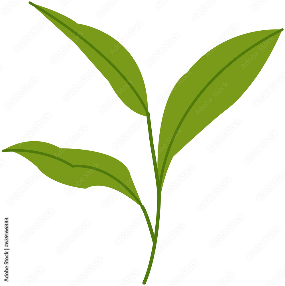 Obraz premium Green Tea Icon
